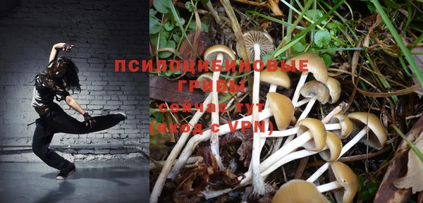 тгк Алексин